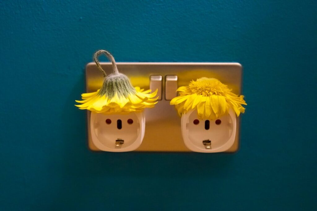 Adaptador de enchufes para el Caribe: guía esencial 2026 Two electrical sockets decorated as faces with flowers