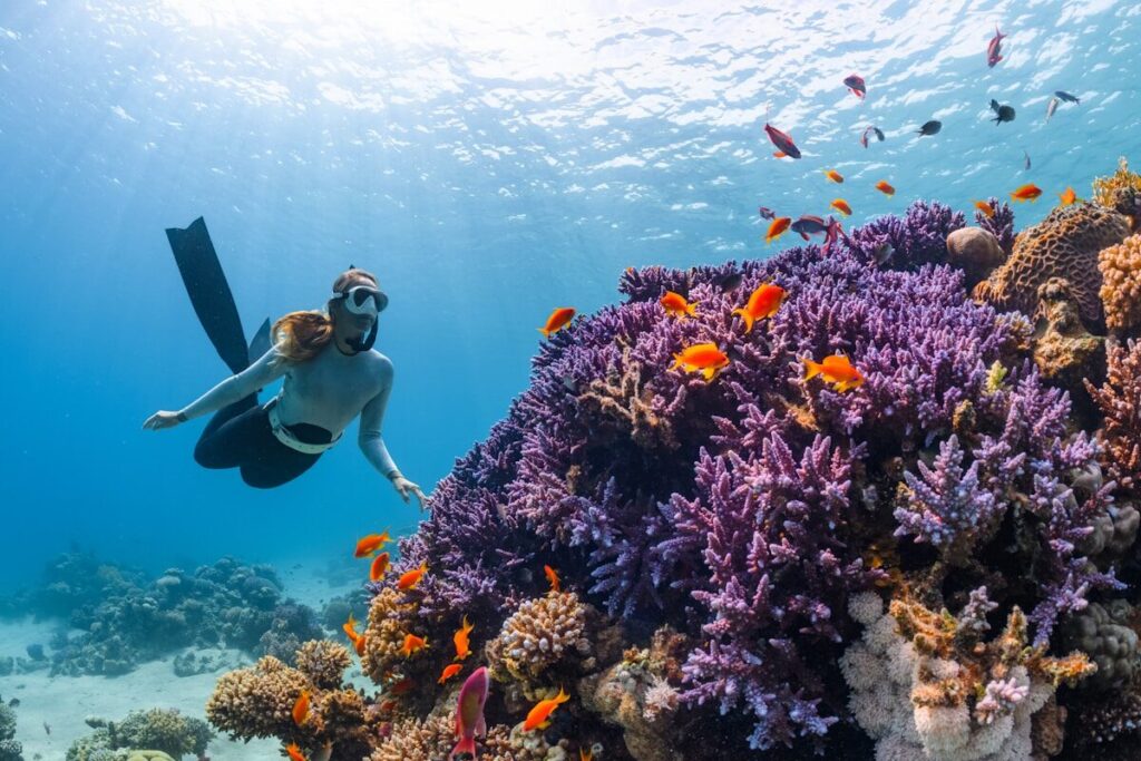 Buceo en el Caribe: guía completa para 2026 a woman scubas over a colorful coral reef