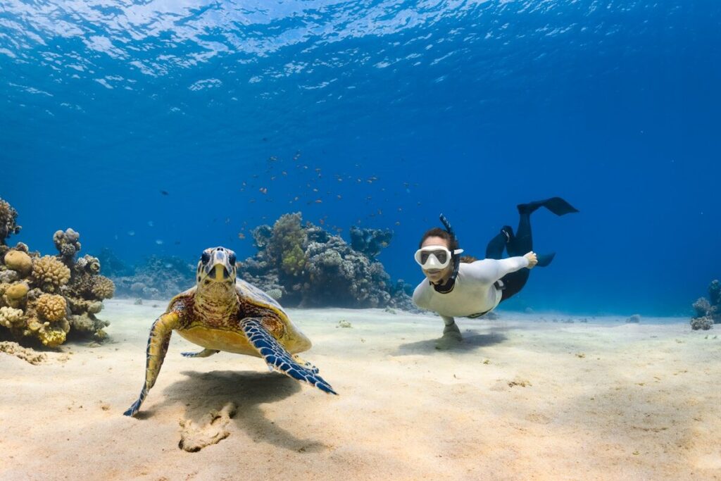 Buceo en Roatán, Honduras: guía esencial para tu viaje a sea turtle and person swimming next to each other