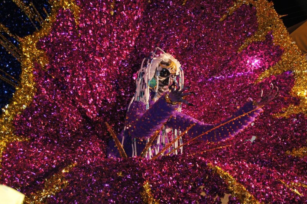 Carnaval de Trinidad y Tobago: guía para disfrutar al máximo a woman in a purple and gold costume